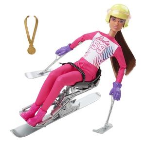 Barbie Winter Sports Para Alpine Skier Brunette Doll 12”